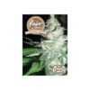 Fair Seeds Northern Light Autoflowering 10ks