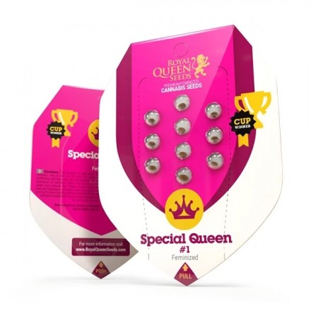 Special Queen 1 fem. Royal Queen Seeds 10 ks