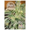 Fair Seeds White Critical 5ks