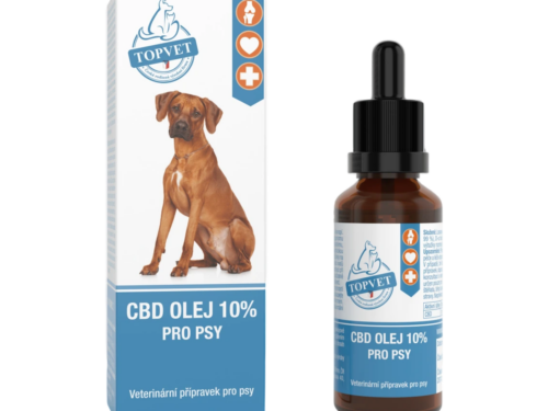 CBD olej 10 % pre psov 10 ml – Green idea